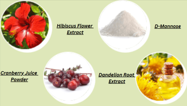 BladderShield Ingredients