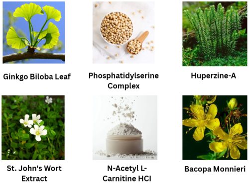 Neuro Sharp Ingredients