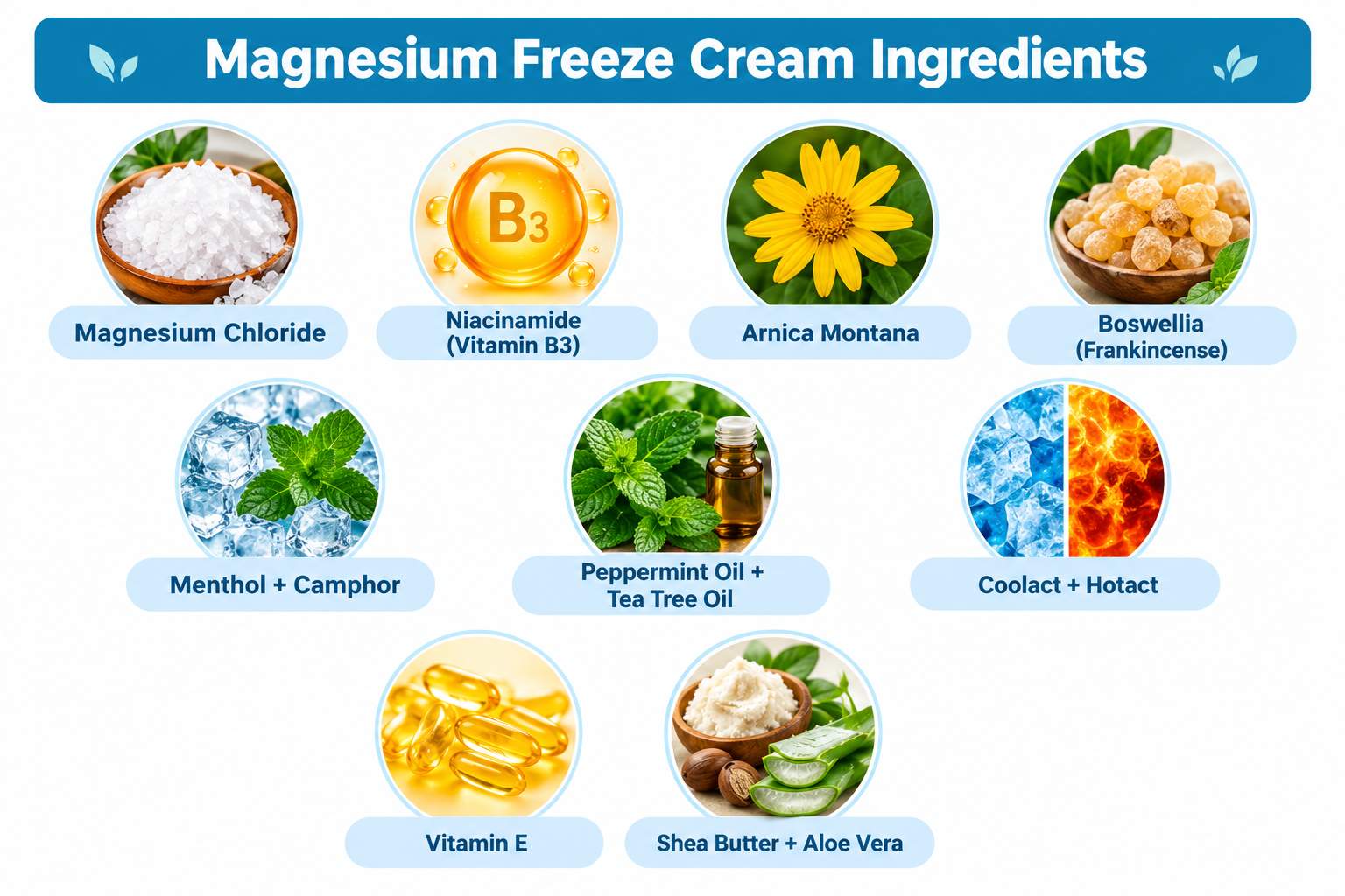 Magnesium Freeze Cream Ingredients