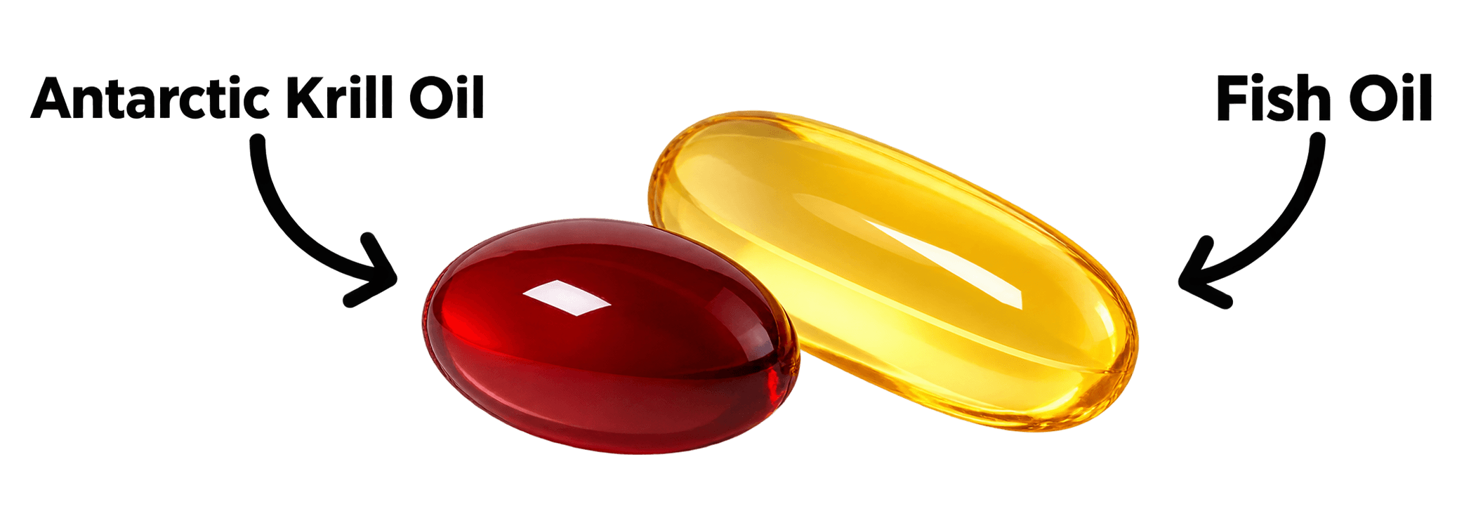 Nativepath Antarctic Krill Oil Vs Fish Oil
