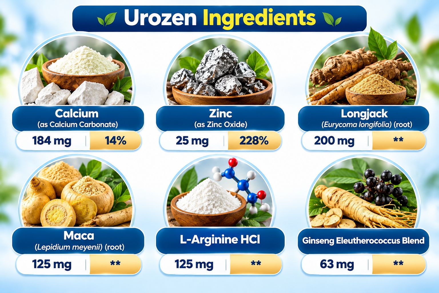 Urozen Ingredins